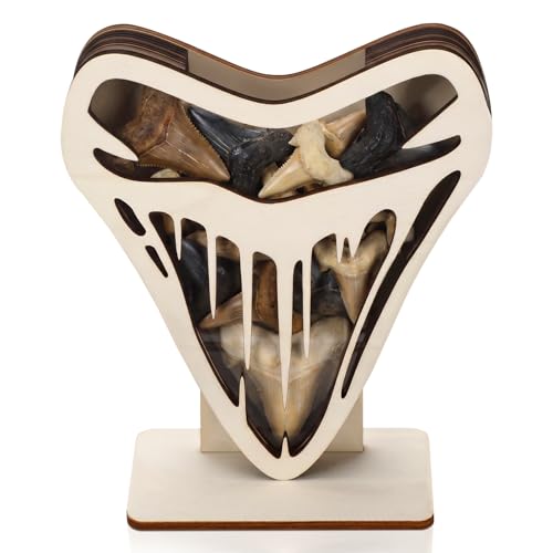 Novabright Shark Tooth Display Case 8 x 7 Inch Wooden Shark Teeth Holder Shadow Box with Acrylic Clear Window DIY Paintable Collection Display Box for Shells Sea Rock Coastal Beach Home Decor