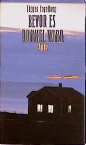 Bevor es dunkel wird: Aus d. Schwed. v. Gabriele Haefs.