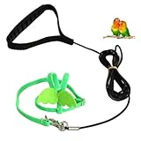 Bird Harness and Leash Kit, Bird Flying Harness Pet Bird Harness Leash Rope for Conures Budgerigar Lovebird Cockatiel Mynah