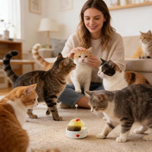Distributeur de nourriture puzzle pour chat avec jeu interactif électronique - 3
