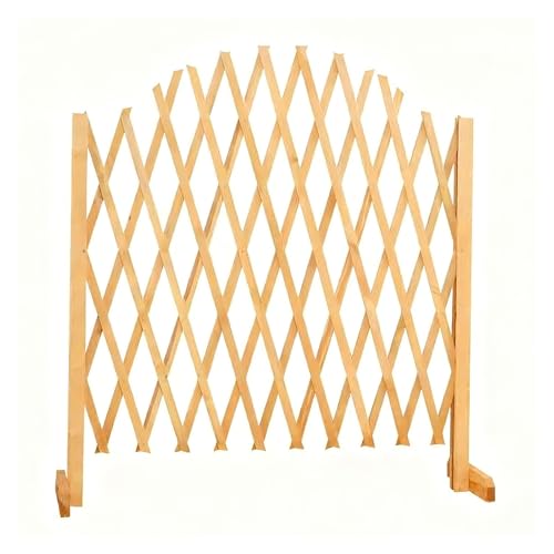 ^AR[fBItFXAg\ȃK[ftFXAؐi[gXCX^gtFXybgiqAƒppeBIp(Size:100 cm/39.4 in,Color:p[J[)