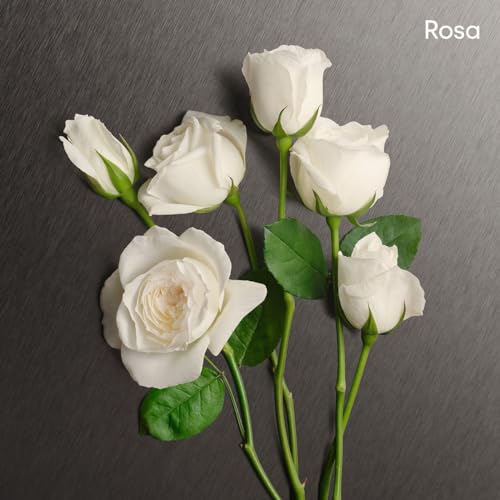 perfume verino mujer perfume verino mujer