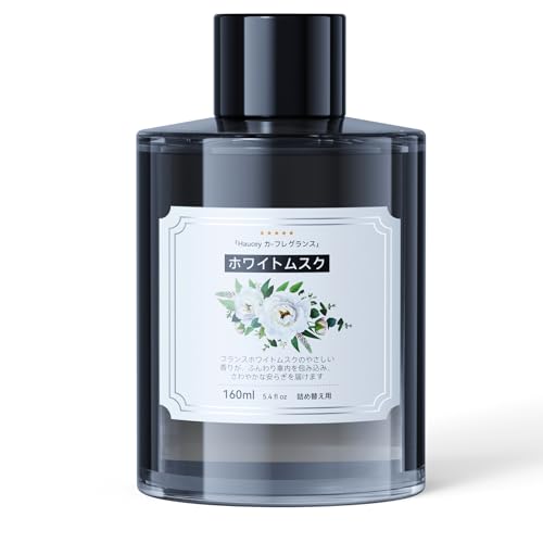HauceytOXtB zCgXN̍ 160ML pbVRAGLXzŒLʁA₳iȍ肪ԓSn悢ԂɁbJK-587ȂǁA܂܂ȒgɑΉbԗpfBt[U[[t