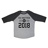 Mashed Clothing - Big Brother 2018 Basketball - Toddler & Youth Baseball Raglan T-Shirt (Smoke, 2T, Black Print)