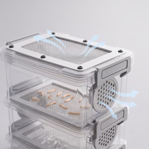 Mealworm Breeding Kit - 3-Layer Frass Separator for Reptiles