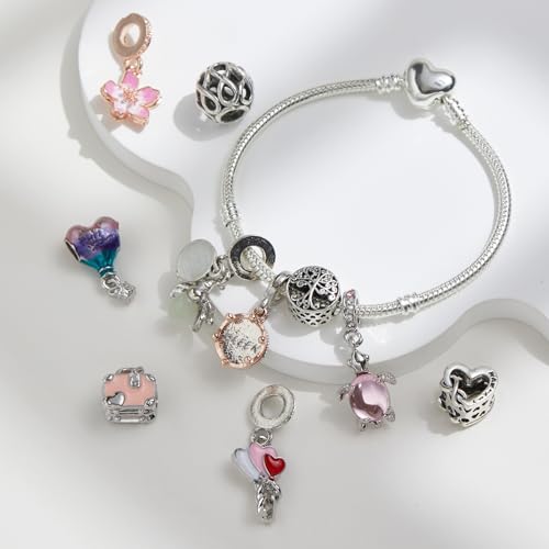 Karakara 10 Pack Silver Bead Charms Compatible with Pandora-Style Bracelets, Large Hole European Beads for Women, DIY Jewelry Accessories, Spacer Beads Individually Packaged3