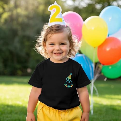 2nd Birthday Shirt Toddler Boy Two Year Old Birthday Outfit Short Sleeve Cotton T Shirt Clothes2
