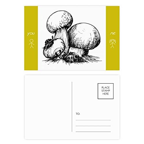 Jeu de cartes postales Swamm illustration créature délicieuse 20pcs