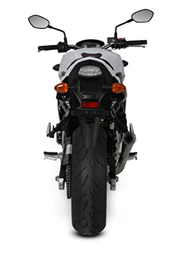 Amazon.co.jp: AKRAPOVIC(アクラポヴィッチ) スリップオンマフラー