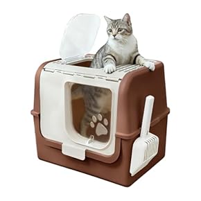 猫用トイレ本体 - Amazon.co.jp