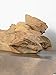 Best Home Fashion Teak Root Sculpture - Bleached