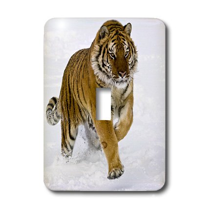 Interrupteur d&eacute;coratif Tigre de Sib&eacute;rie 3dRose lsp_11372_1 finition premium