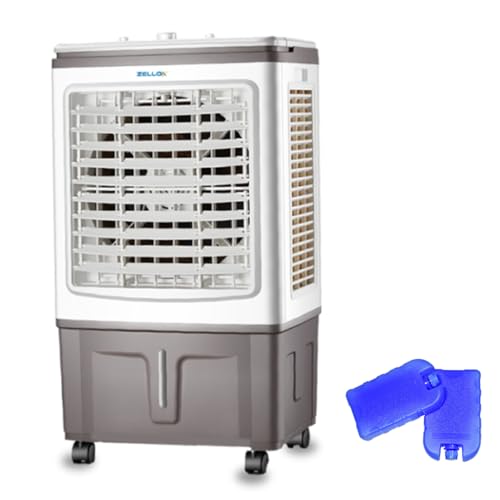 41LtgQX0kCL.jpg