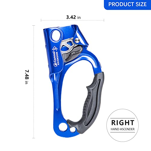 CAMNAL Climbing Gear Ascender and Rappelling Descender Belay Devices for 9-12mm Rope for Rescue & Arborist (Right Hand Handled Ascender)