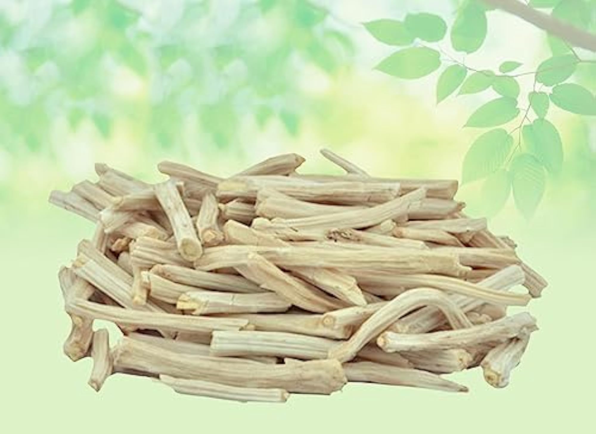 Shatavari Root Raw Herb, 50 Gram
