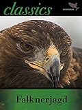 Falknerjagd