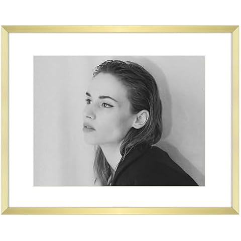 Golden State Art 14x11 Aluminum Frame Cover