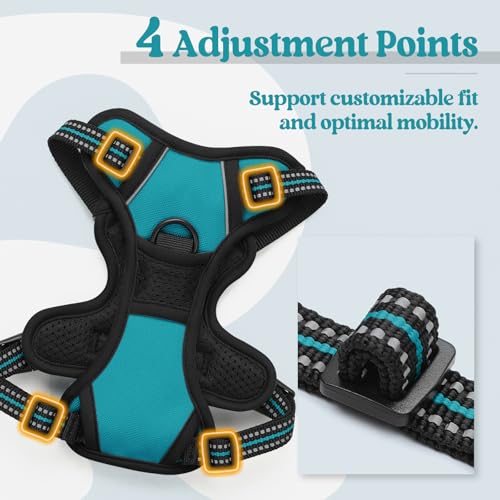 Image of rabbitgoo Dog Harness No Pull with 2 Leash Clips, Adjustable Soft Padded, Reflective Oxford No Choke Pet Vest with Easy Control Handle for Puppy, Teal, XS