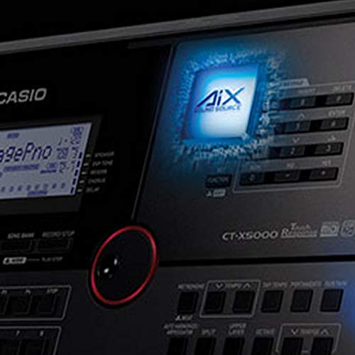 Teclado Casio Ct X800 Profissional Usb 61 Teclas 195 Ritmos