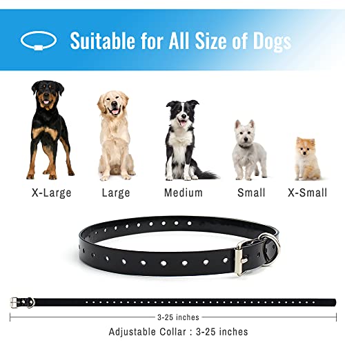 Expert Training Tips with Petrainer Collar
