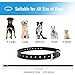 Petrainer Training Collar for Dogs - Waterproof Rechargeable Dog Training E-Collar with 3 Safe Correction Remote Training Modes, Static, Vibration, Beep for Dogs Small, Medium, Large