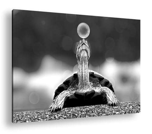 Tableau tortue amusante avec bulle de savon grand format 90x60 impression noir et blanc