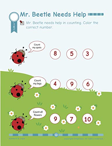 Numbers & Logic: Pre Kindergarten Workbook (Little Genius Series): Teaches Numbers, Counting, Simple Addition, Comparing Quantities, Shapes and Patterns Activities to Pre-Schooler (3-5 years)