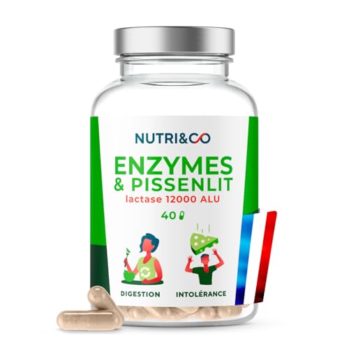 NUTRI & CO Enzymes Digestives Végétales avec 12000 UI de Lactase - Confort Digestif,...