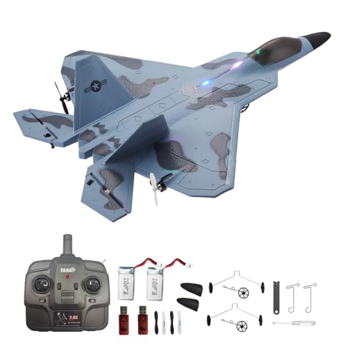 Park10 RC F22 Raptor Jet 4CH 2.4Ghz with Spare Battery