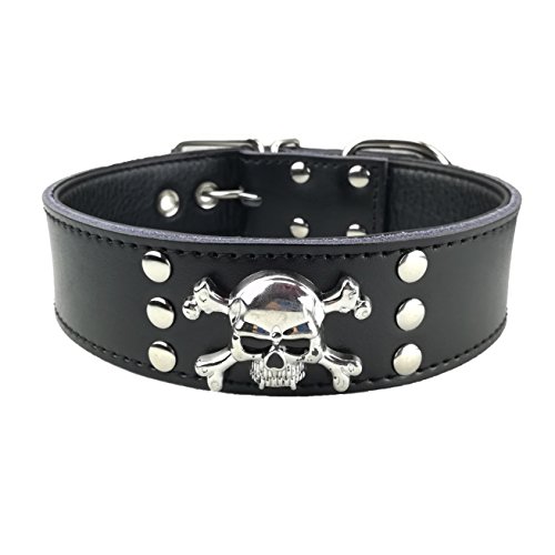 Newtensina Mode Hundehalsband mittelgroße Schädel Leder Hundehalsbänder für große Hunde Schädel Cover