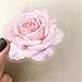 50PCS Transparent Sakura Stickers Pack,Aesthetic Pink Flower Decor for Laptop Gifts for Kids Teens Adults Waterproof Vinyl PET Oriental Cherry Stickers for Notebook Phone Bike Party Favors (Pink)