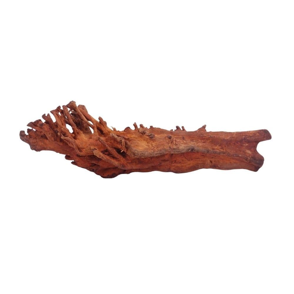 AquaOne Aquarium Wurzel M Jungle Wood Nr.4443 Aquarium Wurzel Holz Deko Aquascaping Dekoration Landschaft Moos Natur Echtholz