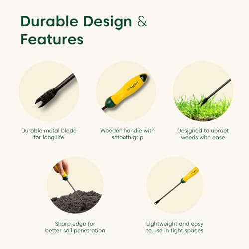 Image of Kyari Hand Weeder for Gardening | Durable Weed Remover Tool | Mini Hand Weeder for Lawn, Garden & Home Use | Rust-Resistant, Comfortable Grip