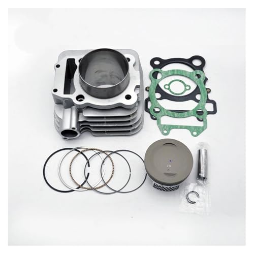 �{�A�A�b�v�L�b�g �ɓK������XTZ250 YBR250 ���g���t�B�b�g XTZ790 290cc �I�[�g�o�C�V�����_�[�w�b�h 79 �~�����[�g���{�A�s�X�g���K�X�P�b�g�č\�z�L�b�g