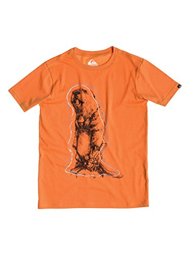 Quiksilver Classic - T-Shirt da Ragazzo a Maniche