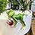 Suqorinp Miniature Frog Figurines Plant Decorations for Pots, Funny Frog Garden Decor Outdoor Gifts Women Frog Statue Planter Hugger for Flower,Yard,Lawn Ornament,3.94"x2.12"x3.94