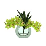 Creative Displays Inc Orchid Arrangement in Round Mirror Vase