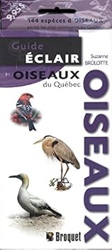 Paperback GUIDE ECLAIR OISEAUX DU QUEBEC [French] Book