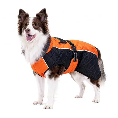BECROWM Dog Coat Dogs Jacket Waterproof Reflective Adjustable Dog-Winter Coats for Small/Medium/Large Dogs Dachshund Coat-(Orange, Medium)
