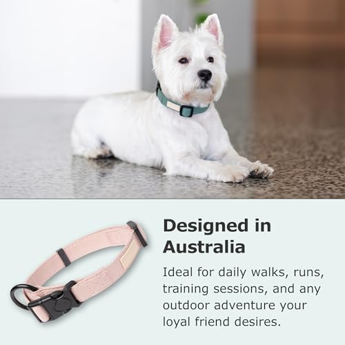Collier pour petits chiens en nylon robuste de qualité supérieure - 6