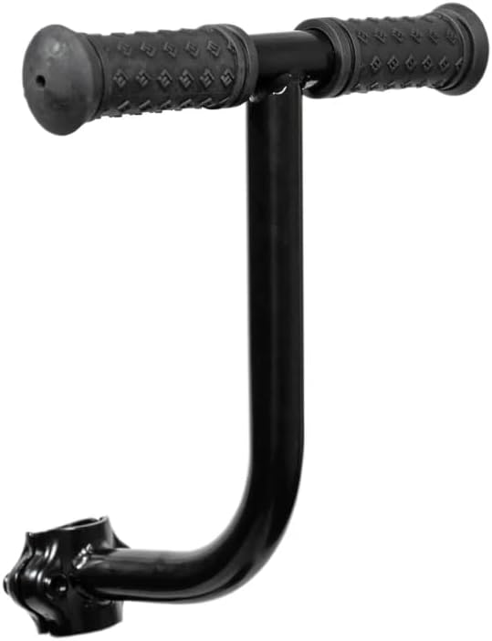 Lectric eBikes XP 3.0 Buddy Seat