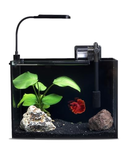 3 Gallon Glass Small Fish Tank, Betta Fish Tank Starter Kit with Filter, Lights, Lid