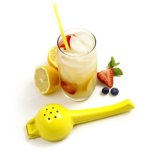 Norpro Lemon Juicer, Jucer, Silver #TOP2