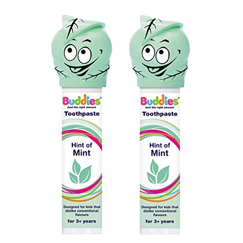 Buddies Hint of Mint Toothpaste Pump Twin – Mild Butter-Mint Flavour, SLS & Paraben-Free, 1450ppm Fluoride, Low-Foam Formula for Sensitive Brushers & Special Needs - Pack 100ml × 2
