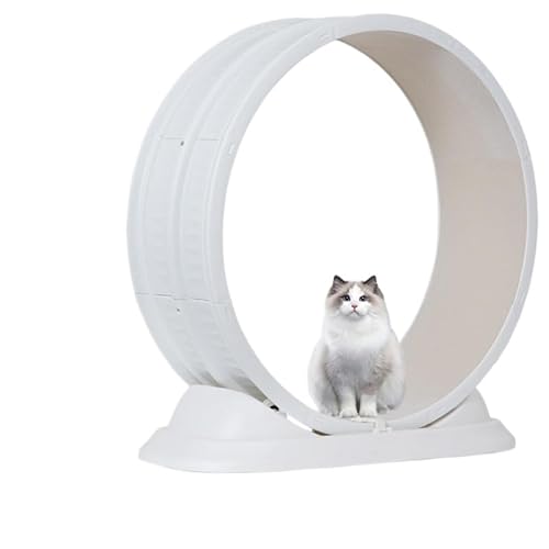 LAJOKING LpLbgzC[BL̉^sBłgAÂŉ̂Ȃ^jOzC[ByʂȔLpA܂ƂzC[AgݗĊȒPȃLbgzC[ALpgCzC[izCgjB ()