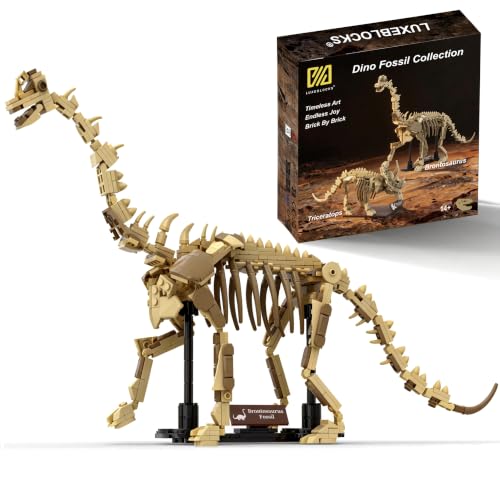 Brontosaurus Skeleton Build Set Model Movable Joints 476Pcs 19In Display