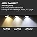 ASOKO LED Edison Vintage Clear Bulbs, 4W 4000K Daylight White, Dimmable LED Edison Bulb Antique LED Filament Bulbs, Clear Glass, 40W Equivalent, 380LM, ST64, E26 Base (4W-4000K-6Pack)