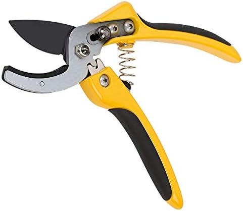 Anvil Pruning Shears 8 inch Bypass Rose Clipper Professional SK-5 Steel Blade Sharp Gardening Scissors Hand Pruners (Yellow Anvil)
