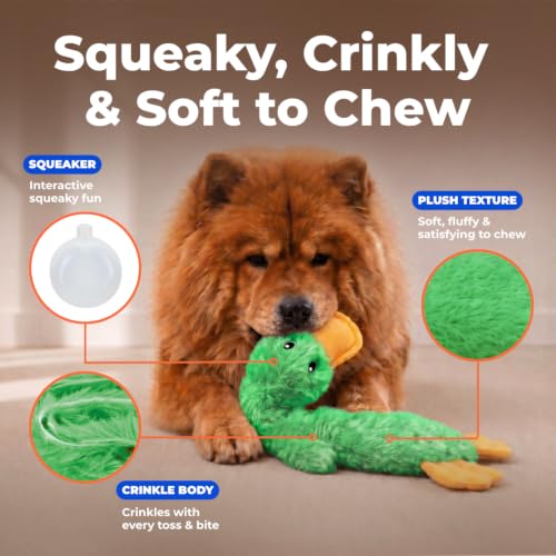 Image of Best Pet Supplies Crinkle Dog Toy for Small, Medium, and Large Breeds, Cute No Stuffing Duck with Soft Squeaker, Fun for Indoor Puppies and Senior Pups, Plush No Mess Chew and Play - Green,PT336