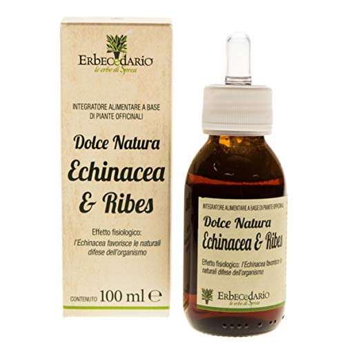 Dolce Natura Echinacea E Ribes Sciroppo Difese Immunitarie Bambini, Sciroppo per il Benessere di Naso e Gola, Sciroppo Naturale Per Bambini 1 Flacone 100ml